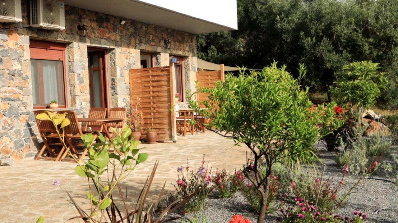 Comfortable Apartment With Garden - Casa Con Vista Havania Eksteriør bilde